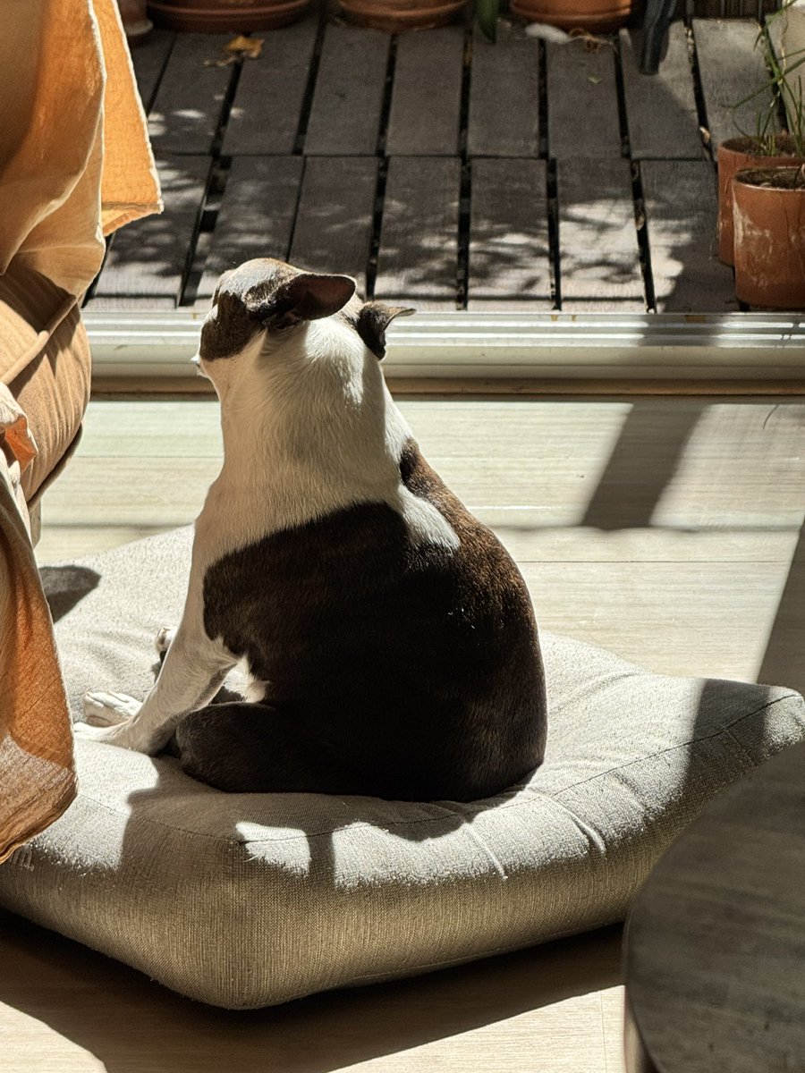 Jose Luis Matzkin tweet media