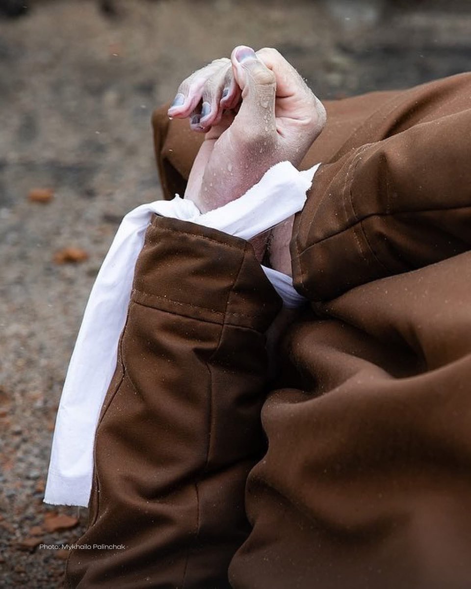 olexander scherba🇺🇦 tweet media