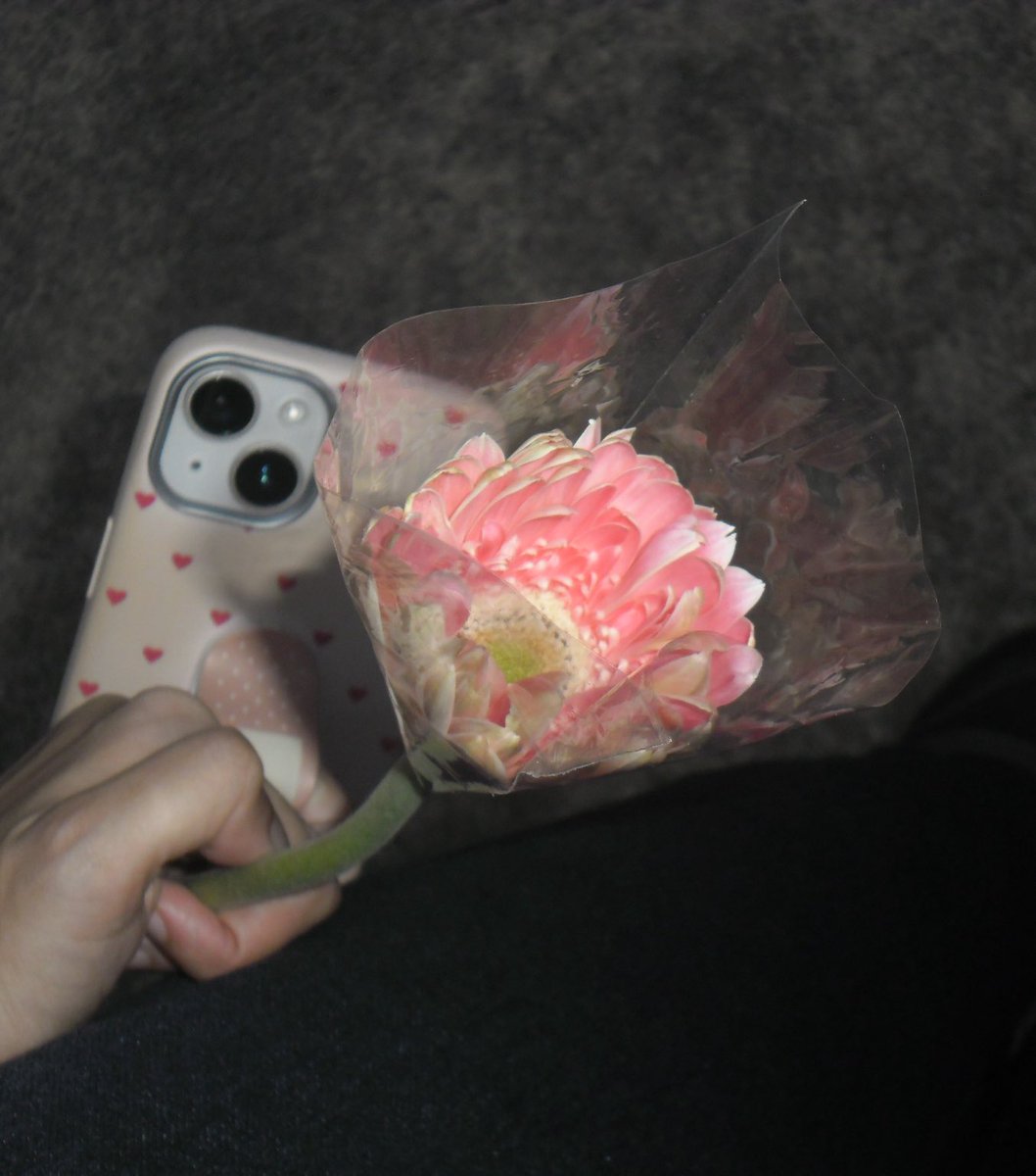 plüb ☆☆ tweet media