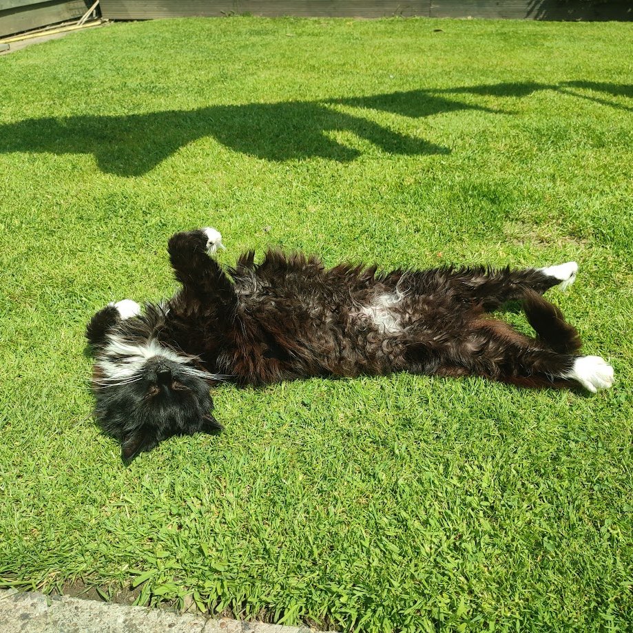 ana 👁️👁️ tweet media