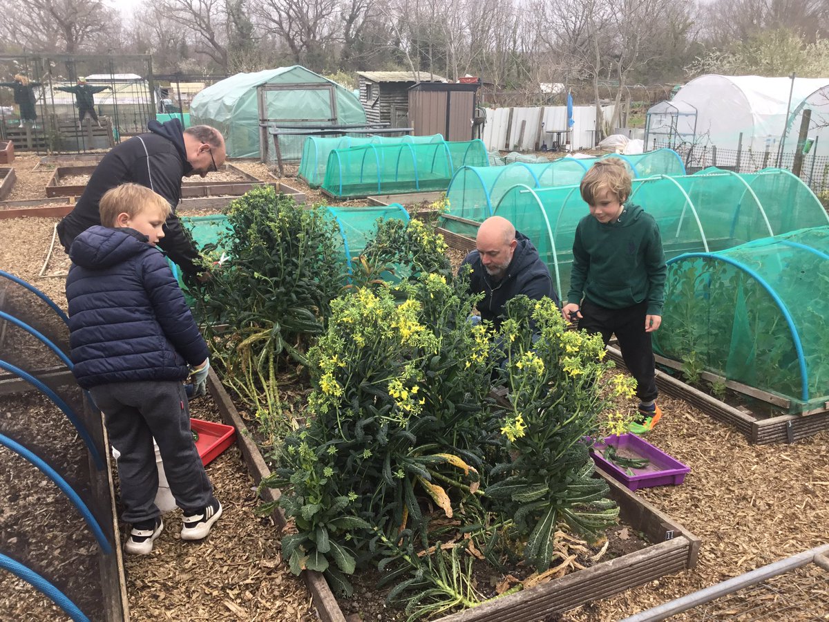 St Olave's Prep School tweet media