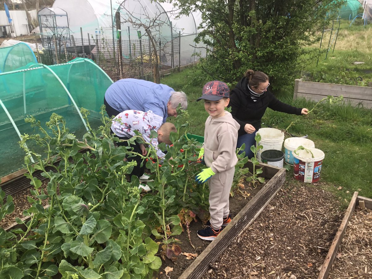 St Olave's Prep School tweet media