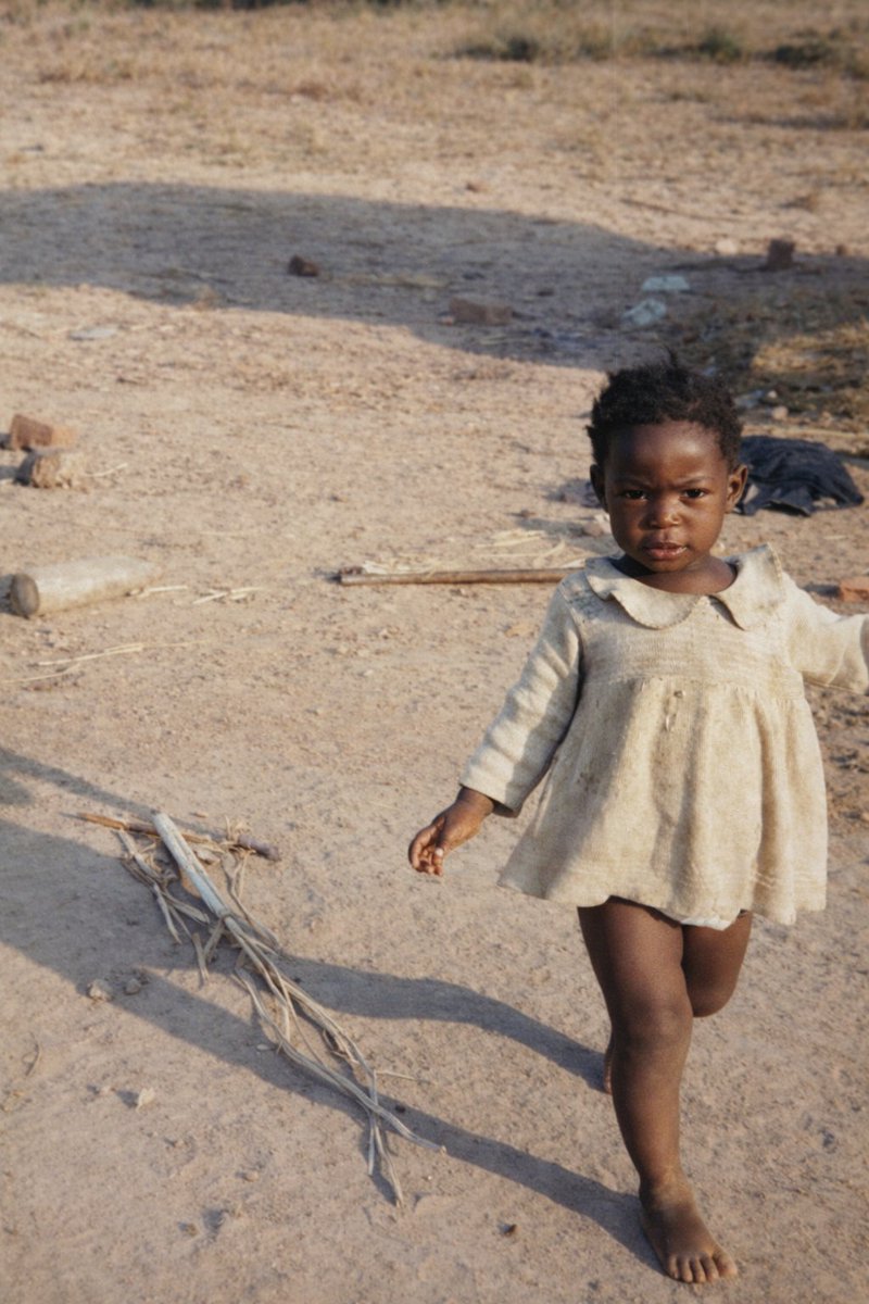 L E S E D I tweet media