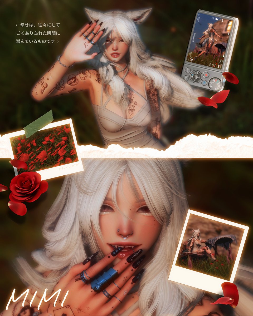 【 ｍｉｍｉ】 tweet media