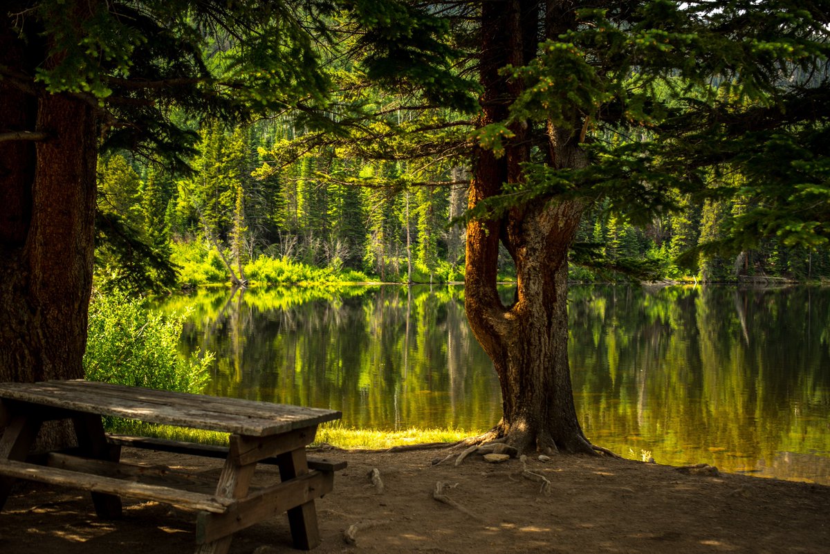 DolecekForestry's tweet photo. Looking for vintage carbon offsets? Dolecek Enterprises offers 2023 and 2024 vintage offsets—an ideal choice for organizations aiming to achieve sustainability and emissions reduction goals. Call us. #CarbonOffsets #ClimateAction #Sustainability https://t.co/ByDU9BMJG0