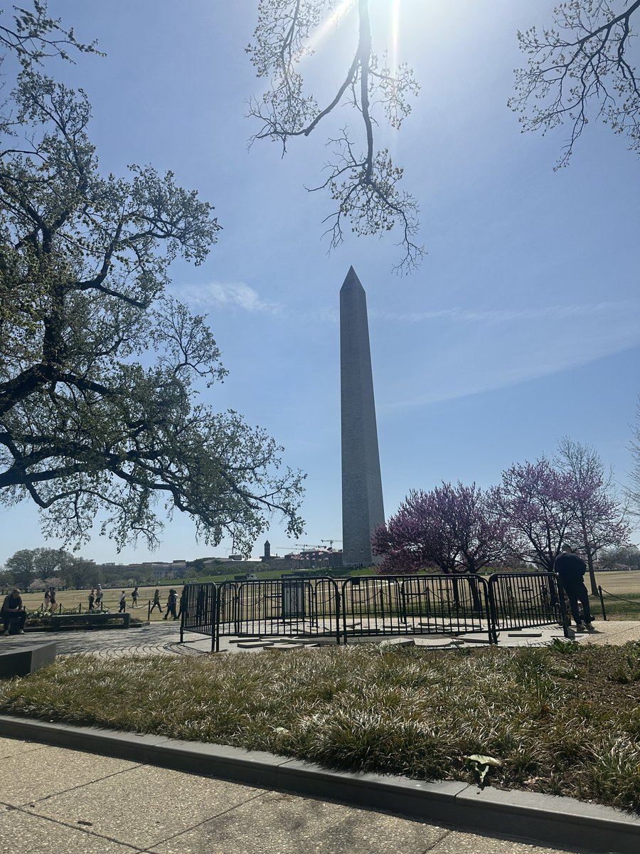 sammy in a bottle 🧞♂️ tweet media