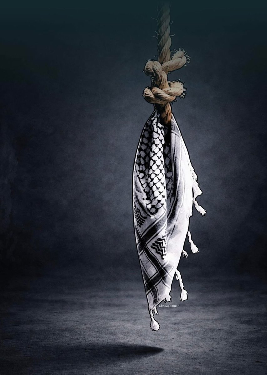 غزة الآن - Gaza Now tweet media