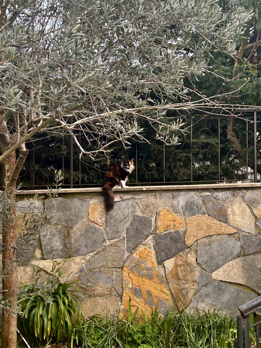 erd 〽️ tweet media