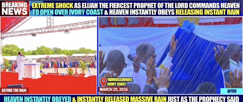 Bishop Natalie Ayer🇻🇪 tweet media