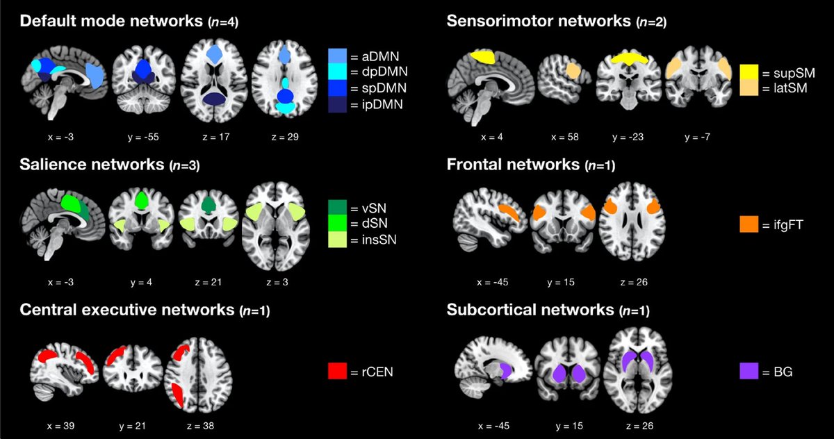 Louisa Nicola tweet media