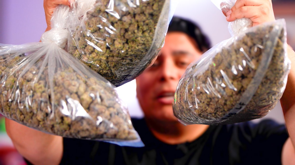 The_Dopest_Shop's tweet image. Quite possibly our best indoor flower that we dropped yesterday.  The Dopest X Ronin Genetics all grown in house available now on our site.  #genetics #flower #indoor #thedopestshop