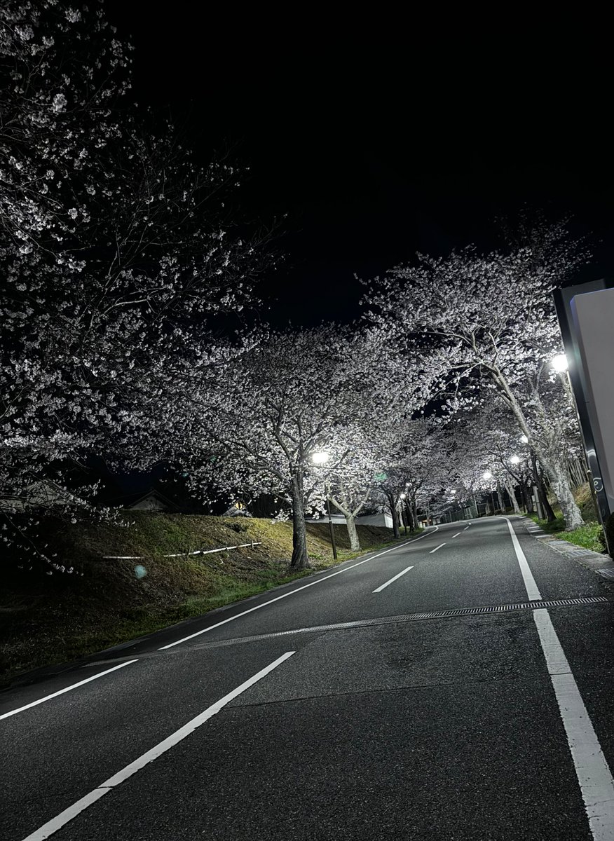 らむ🐥 tweet media