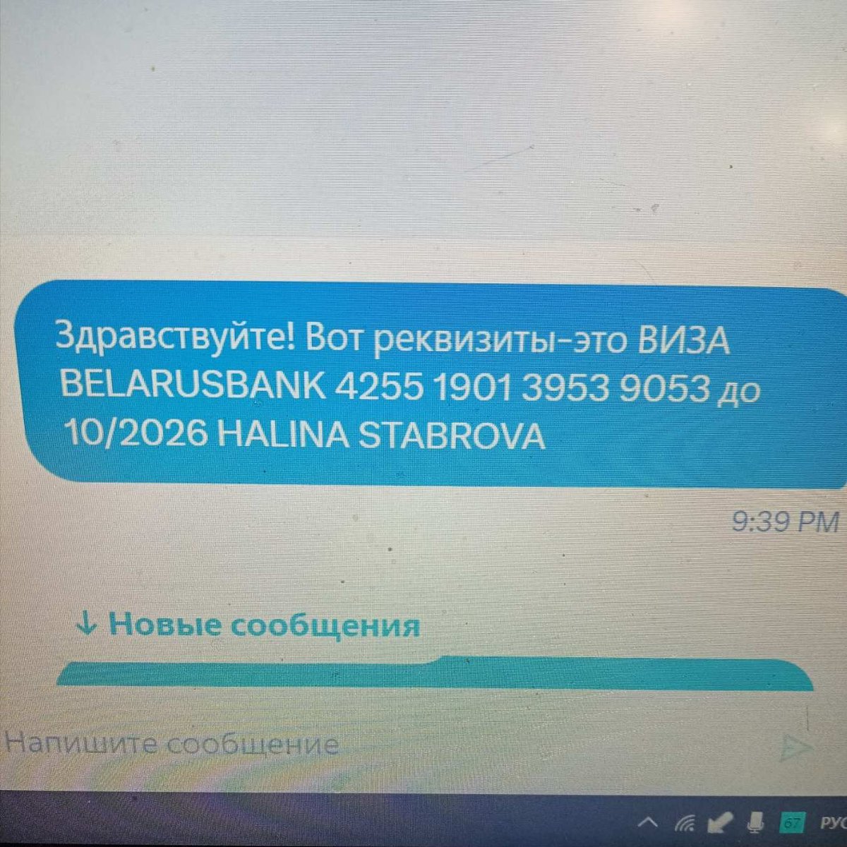 Кот Шурик из Беловежской пущи и его большая семья tweet media