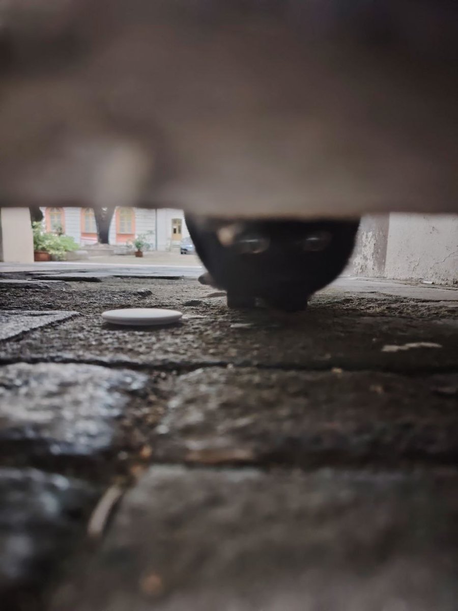 Raf Blokada tweet media