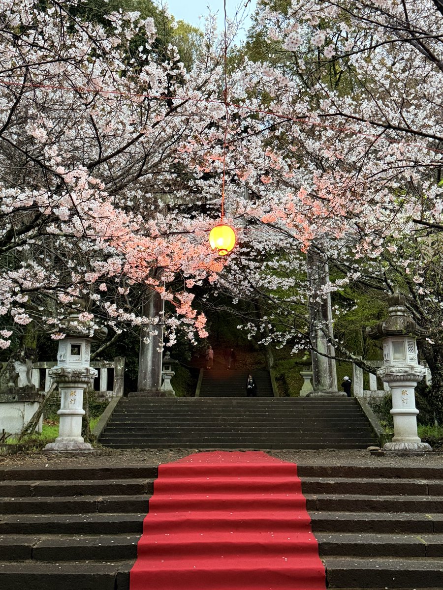 コスプレ御免 tweet media