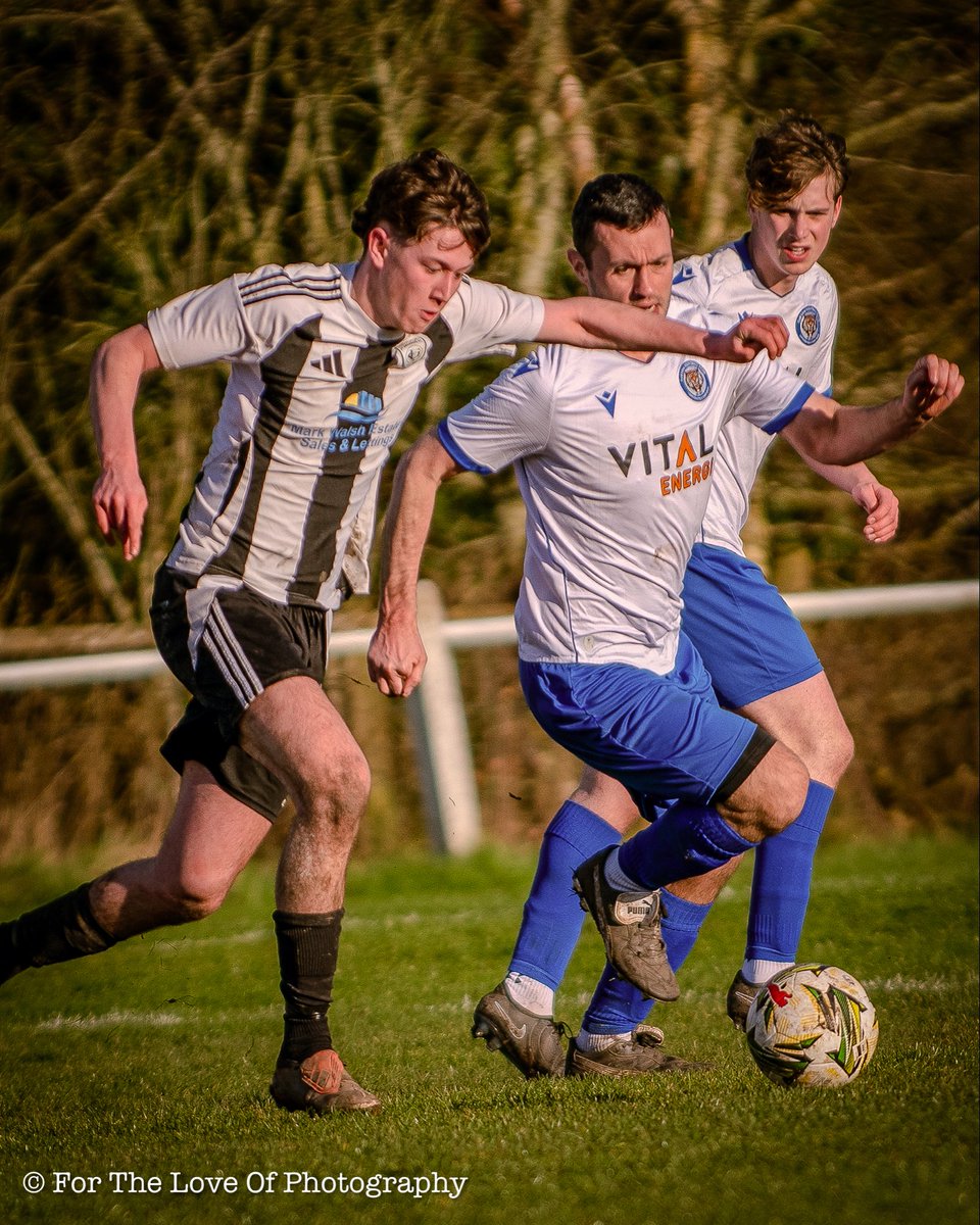 For The Love Of Photography tweet media