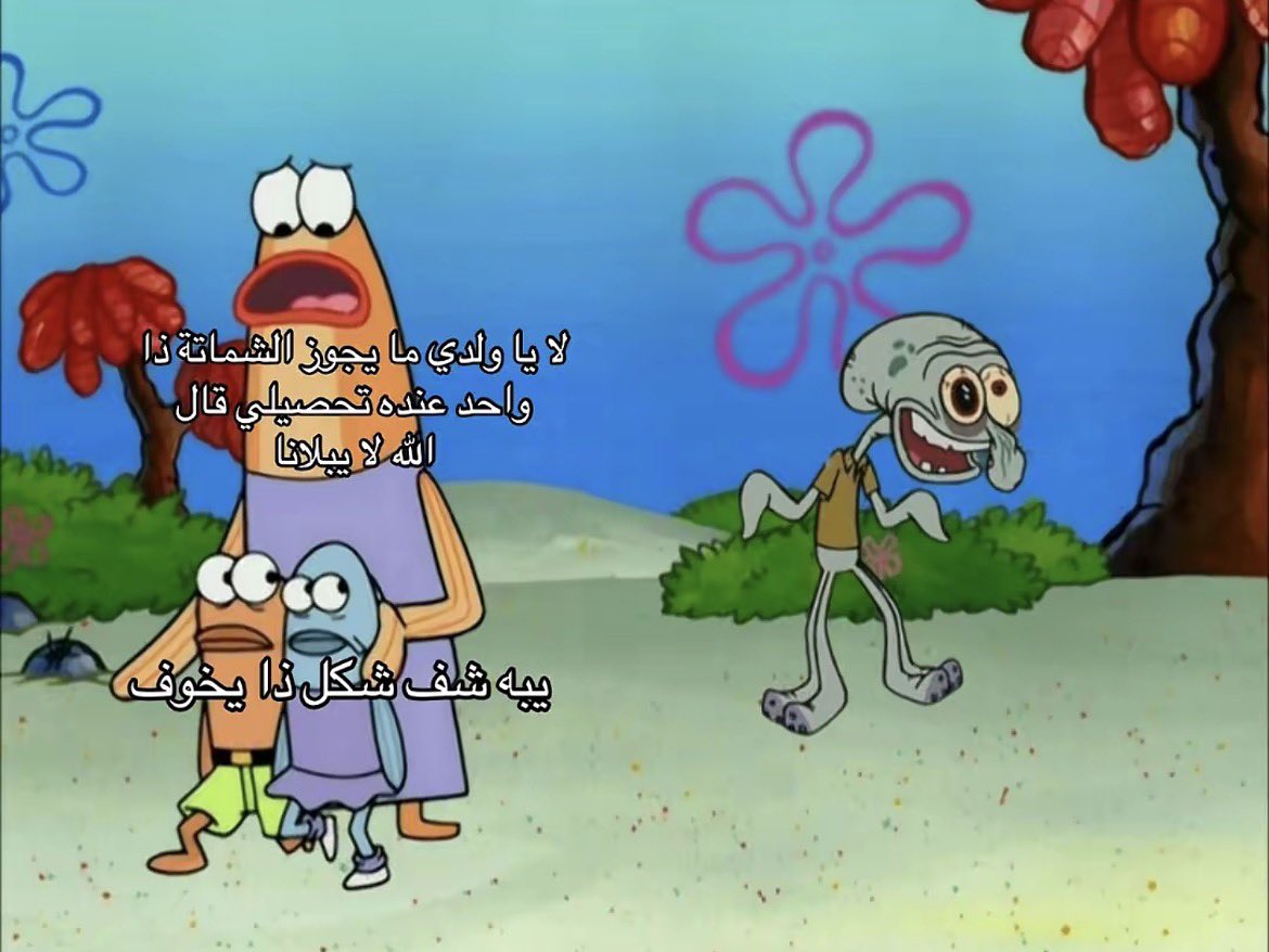 البروفيسورة tweet media