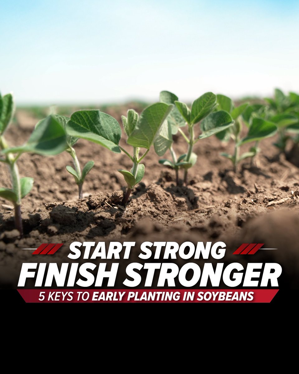 Hefty Seed Company tweet media