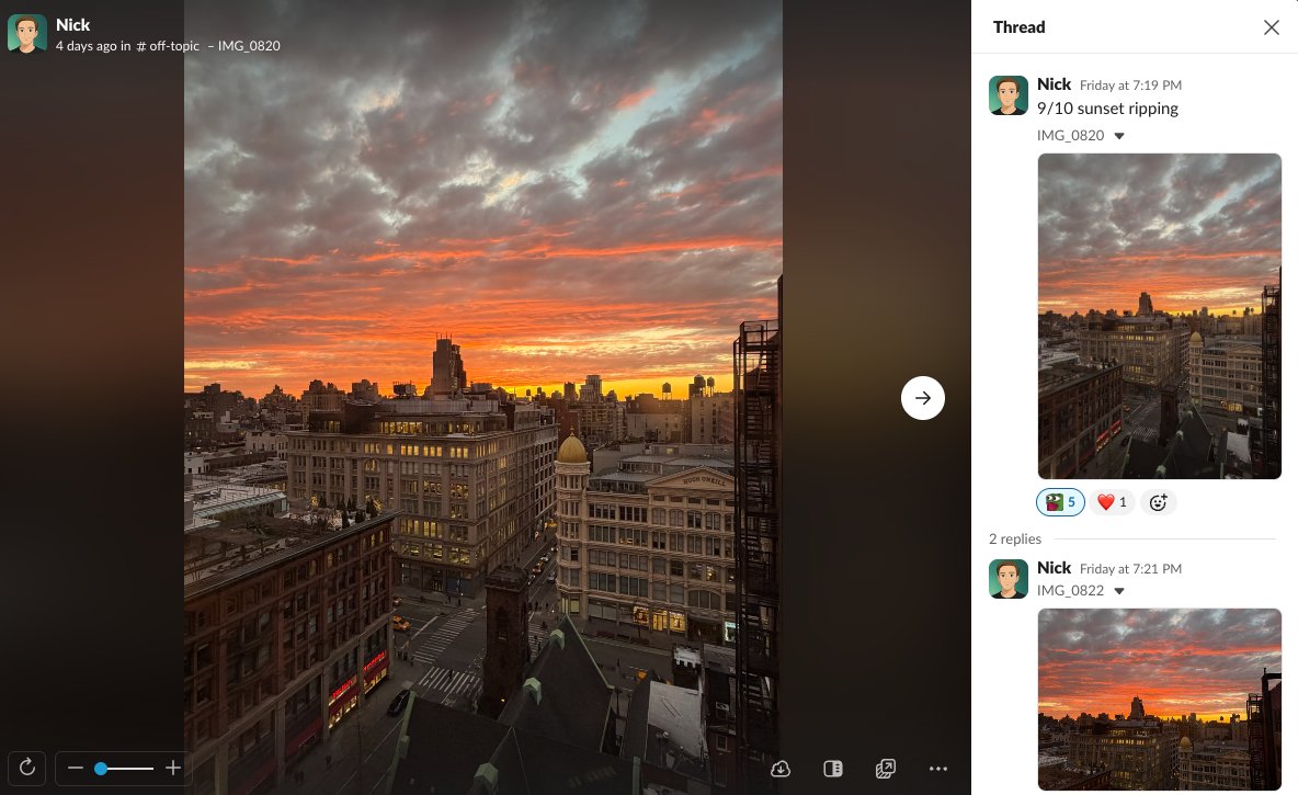 andrew pignanelli tweet media