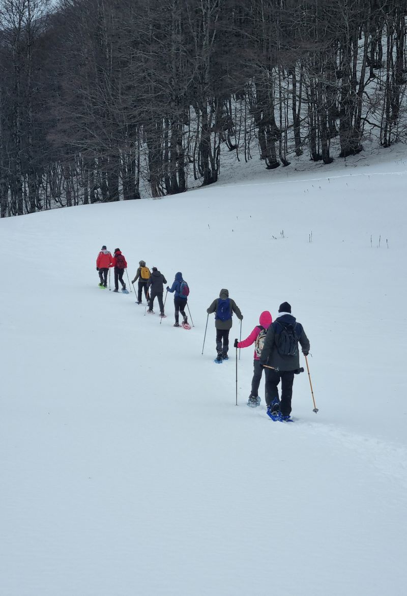 Janonautas tweet media