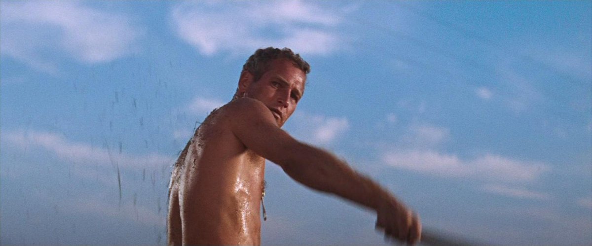 CinemaCrimes's tweet photo. COOL HAND LUKE
Stuart Rosenberg | 1967 https://t.co/hXcoKNdtFY