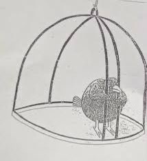 Novak Rouge tweet media