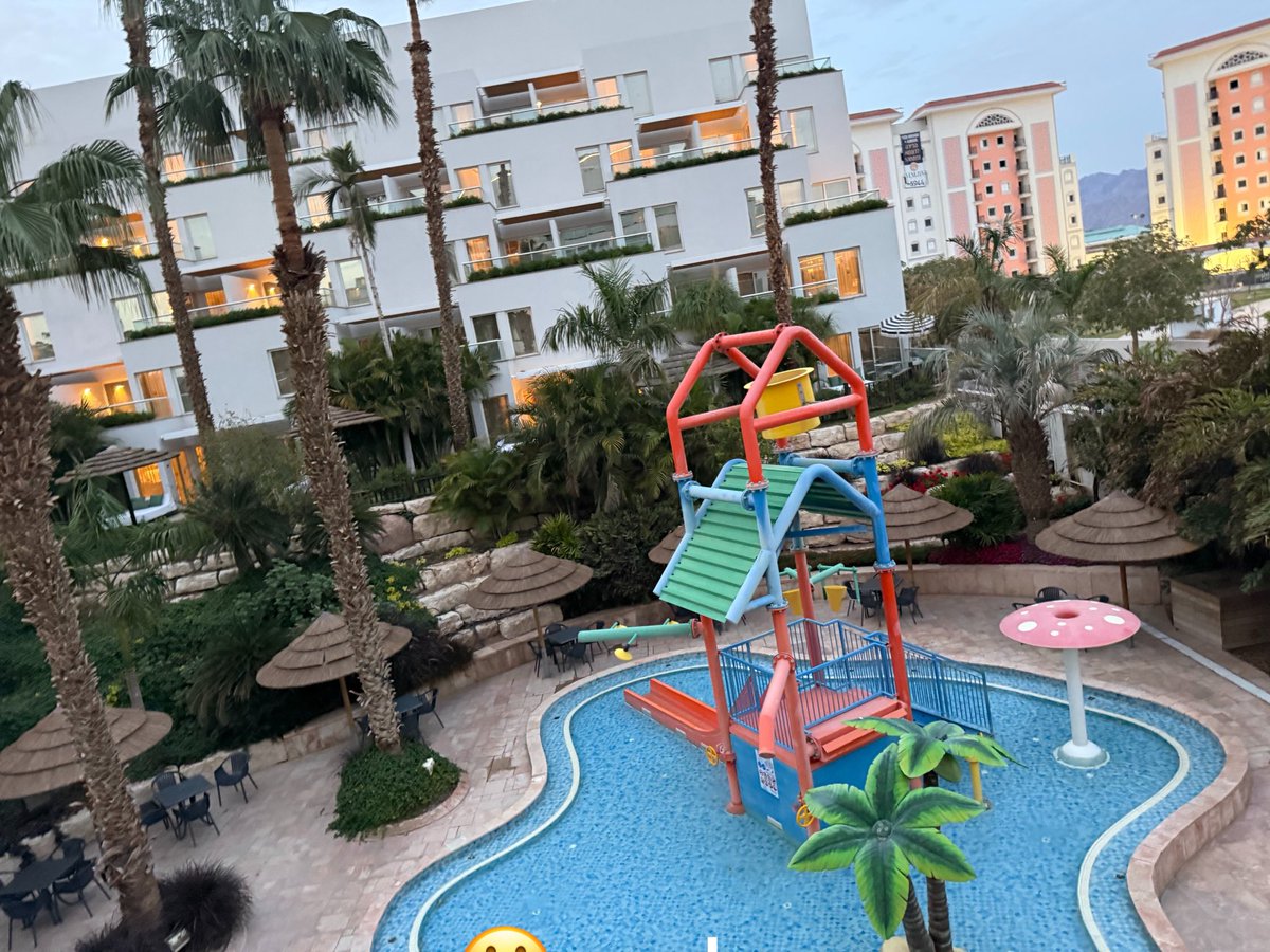 מואיז הקטן ® tweet media