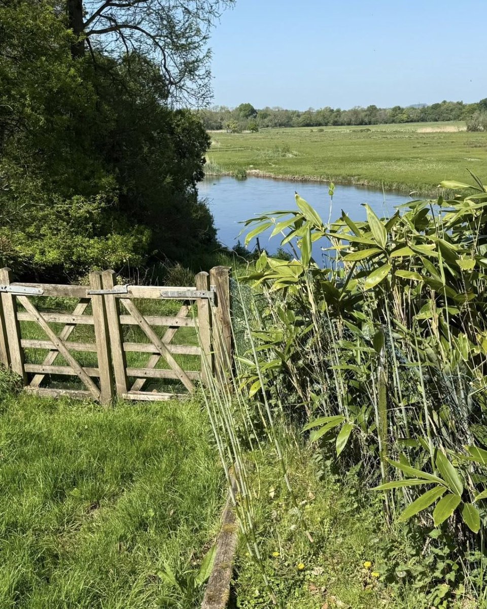 Short Stay Homes tweet media