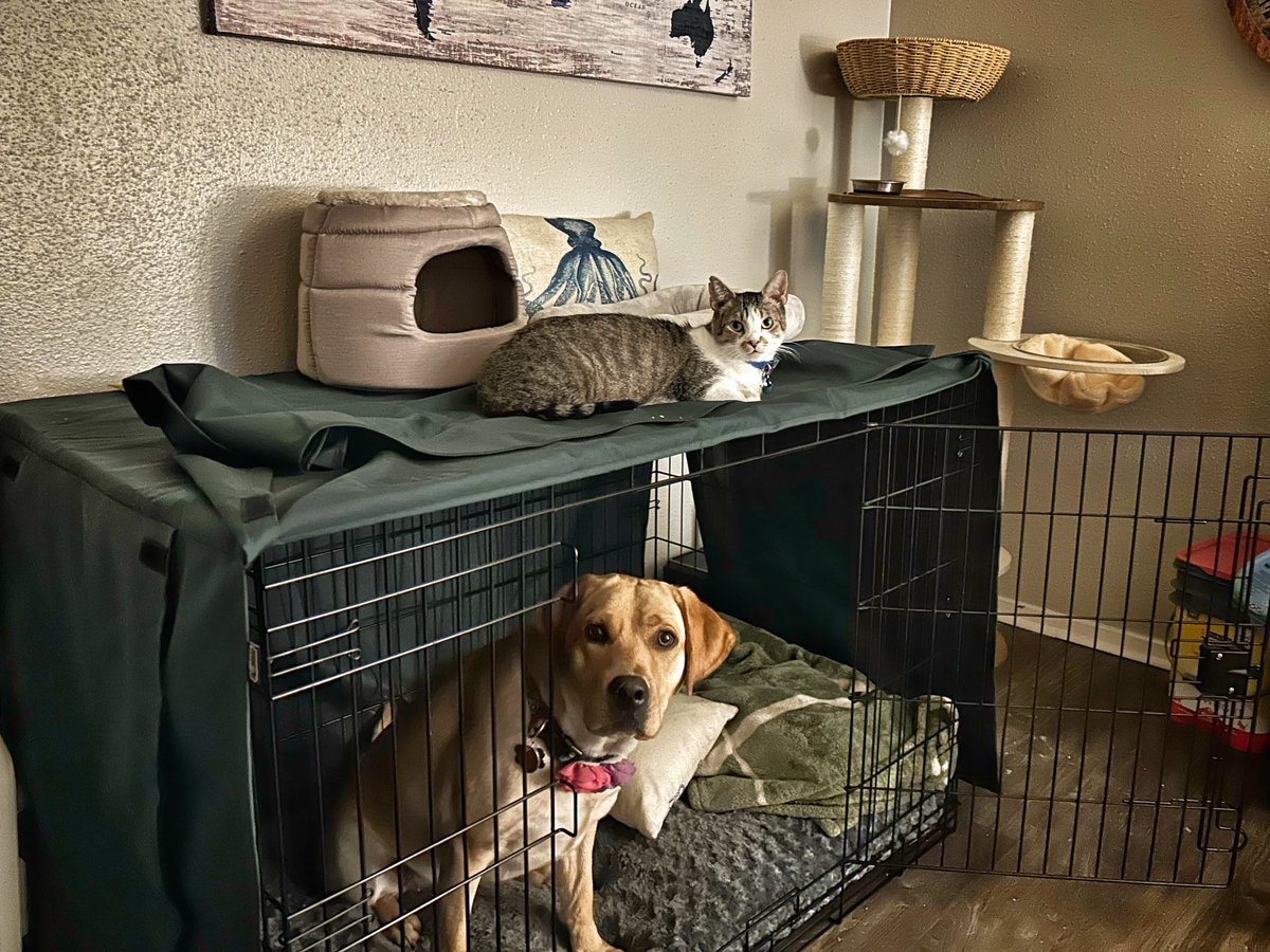 Emily Hills tweet media