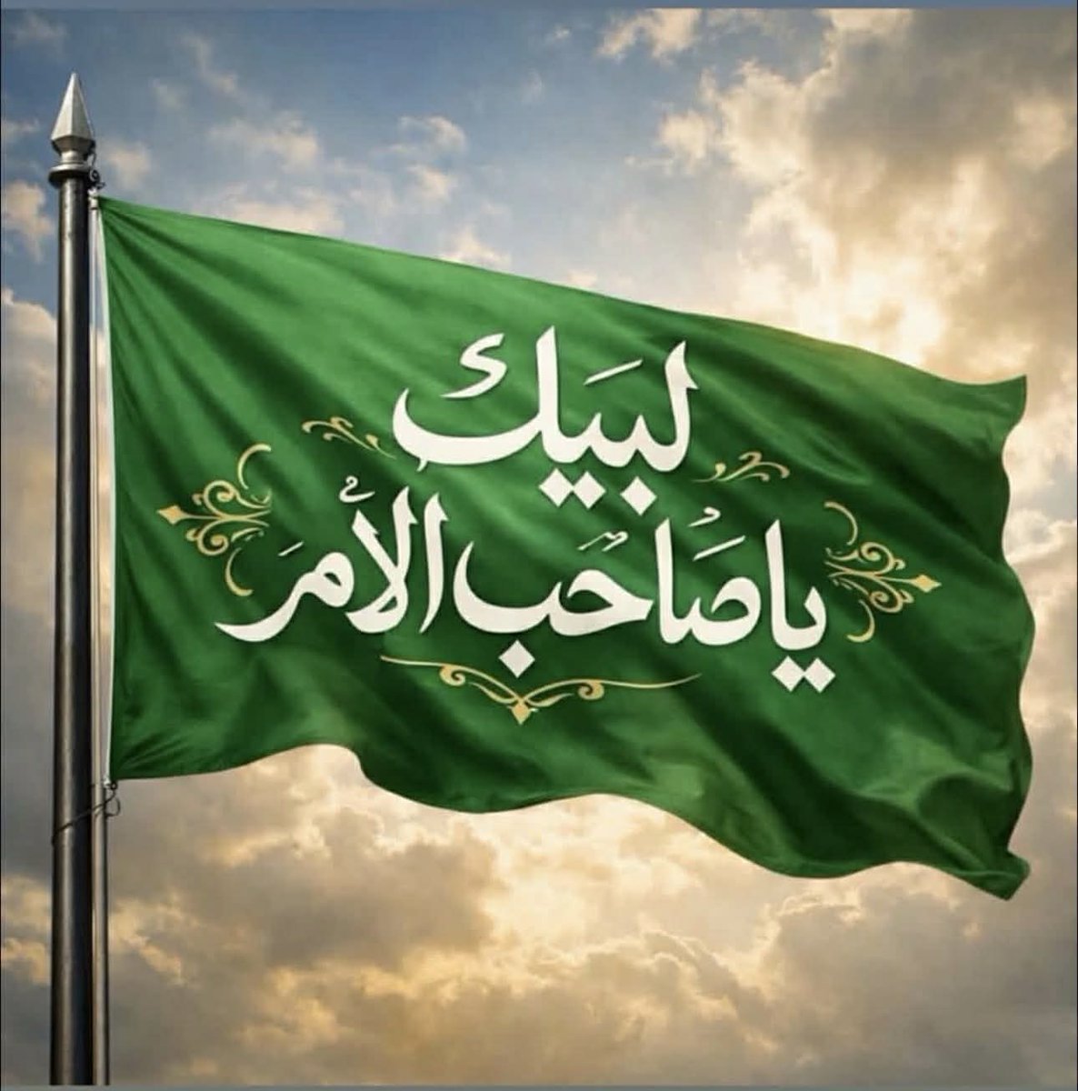 مهند الغزي ❗ tweet media