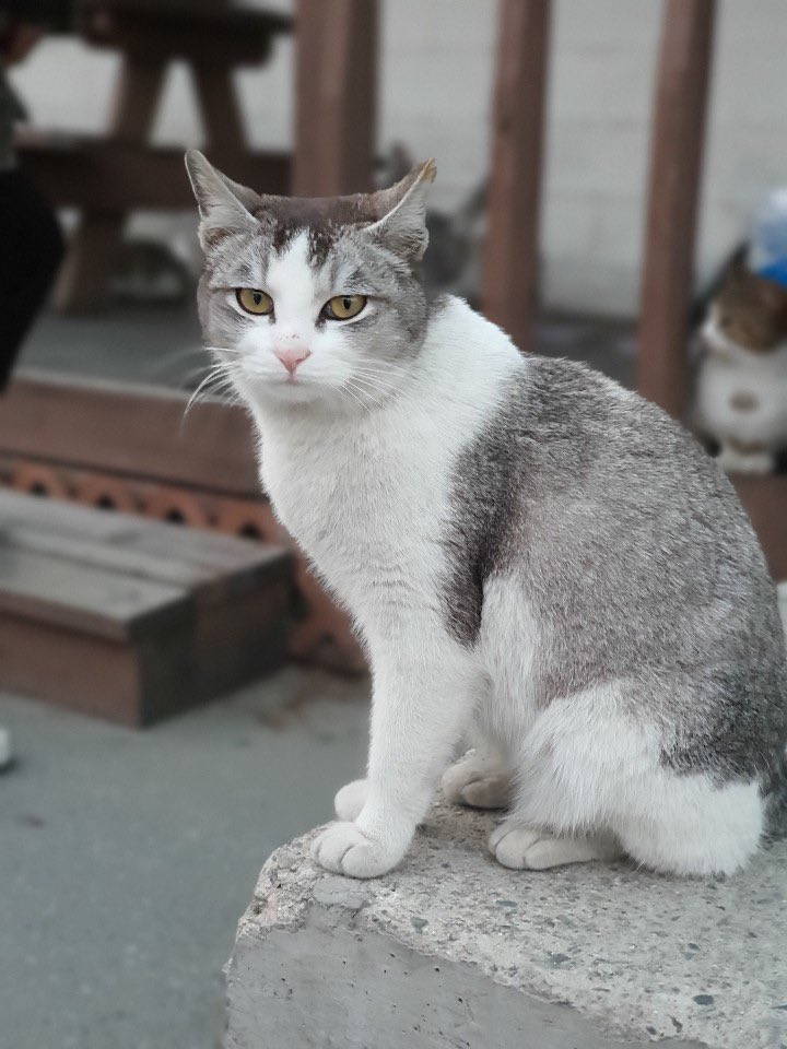 가을달빛 tweet media