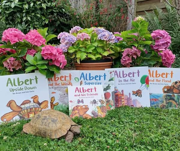 AlbertTortoise's tweet image. I keep checking them. Hopefully, you keep liking them. All #inspired by real #ALBERTthetortoise #AvailableNow 9 #ALBERT #picturebooks, 3 #BoardBooks &amp;amp; #ActivityBook Alberttortoise.com
#tortoise #bookseries #garden #bookcover #storytime