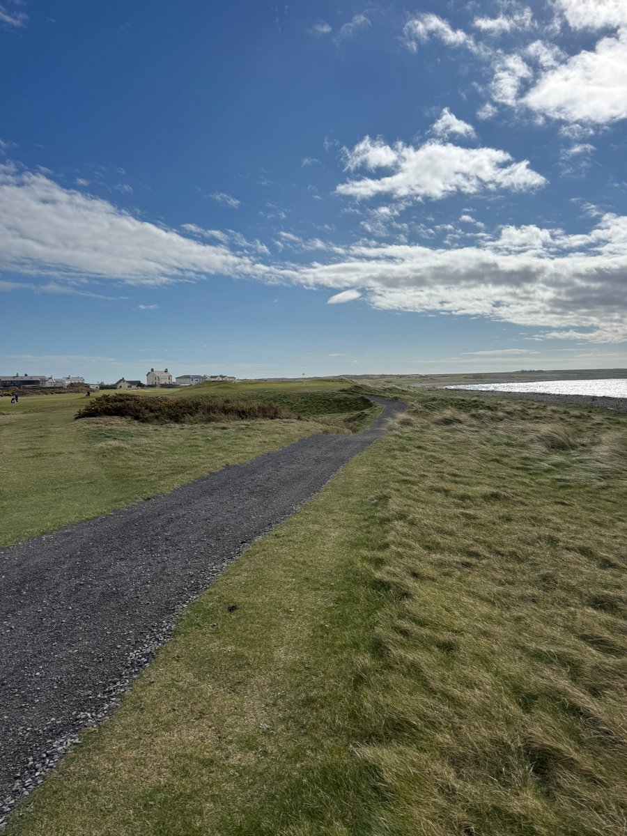 Rex Tattersall tweet media