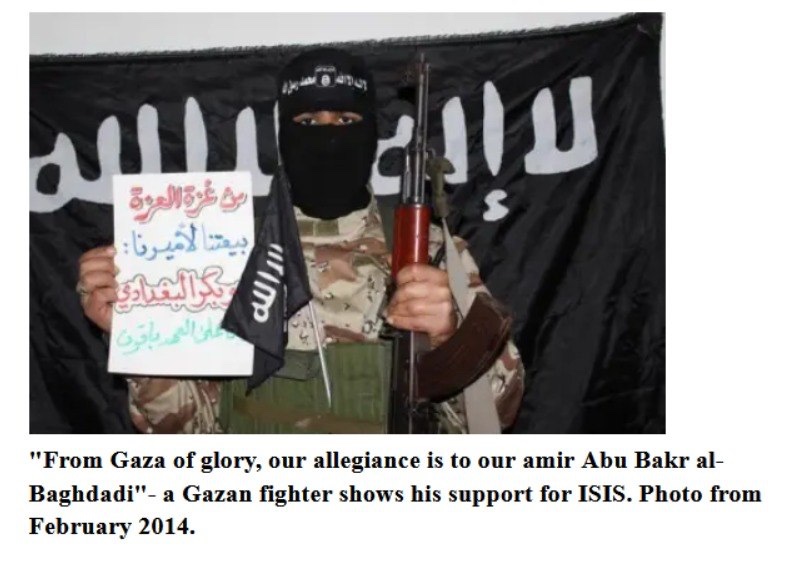 Thomas levin tweet media