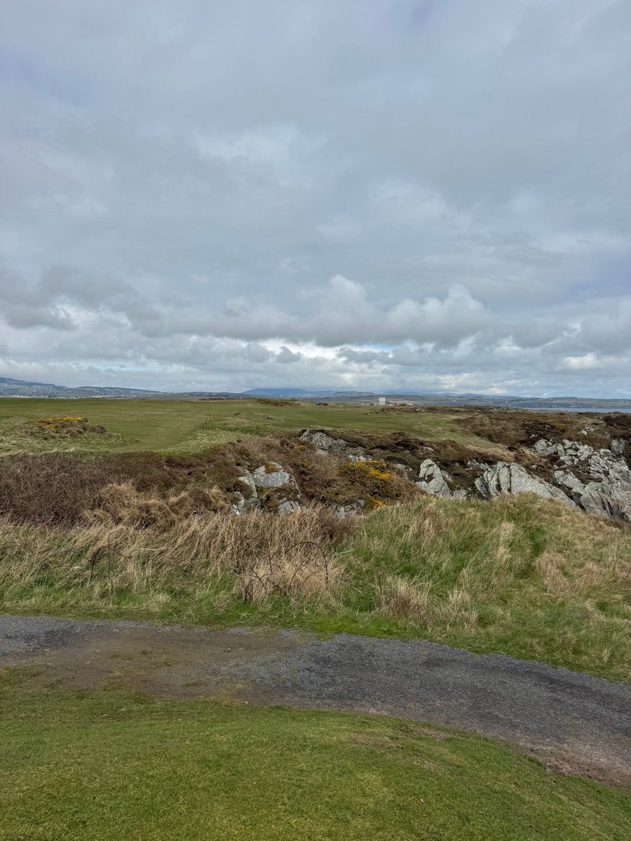 Rex Tattersall tweet media