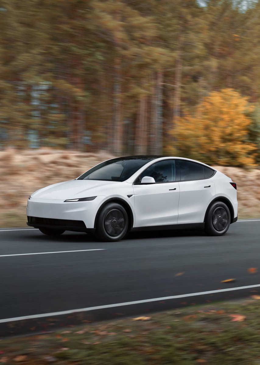 Nic Cruz Patane tweet media