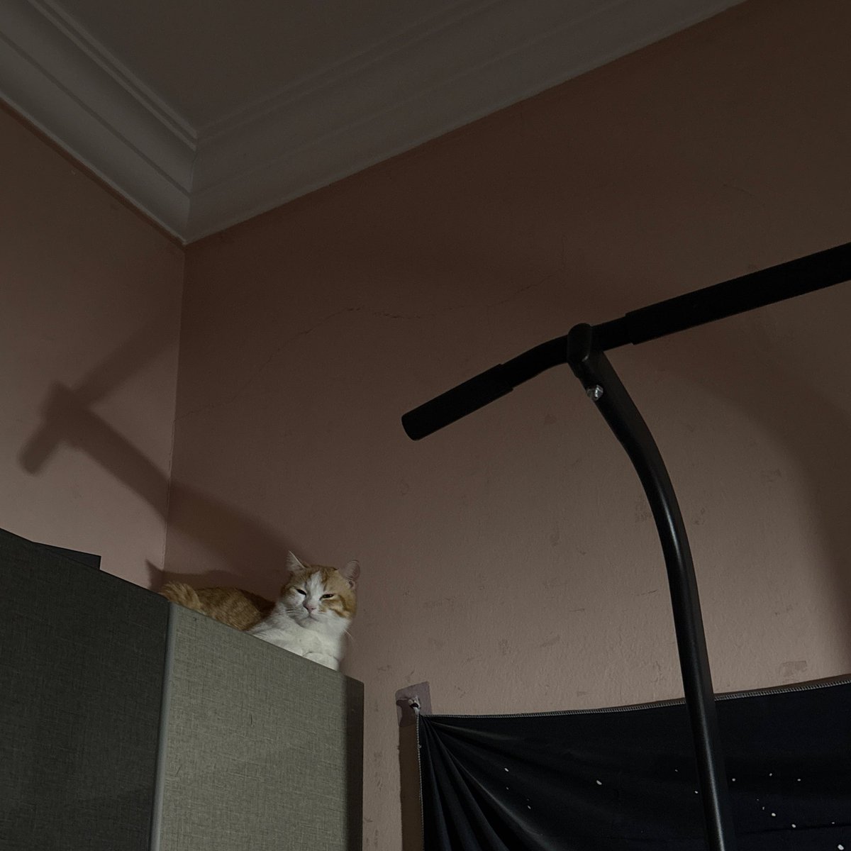 Misa𐙚 tweet media