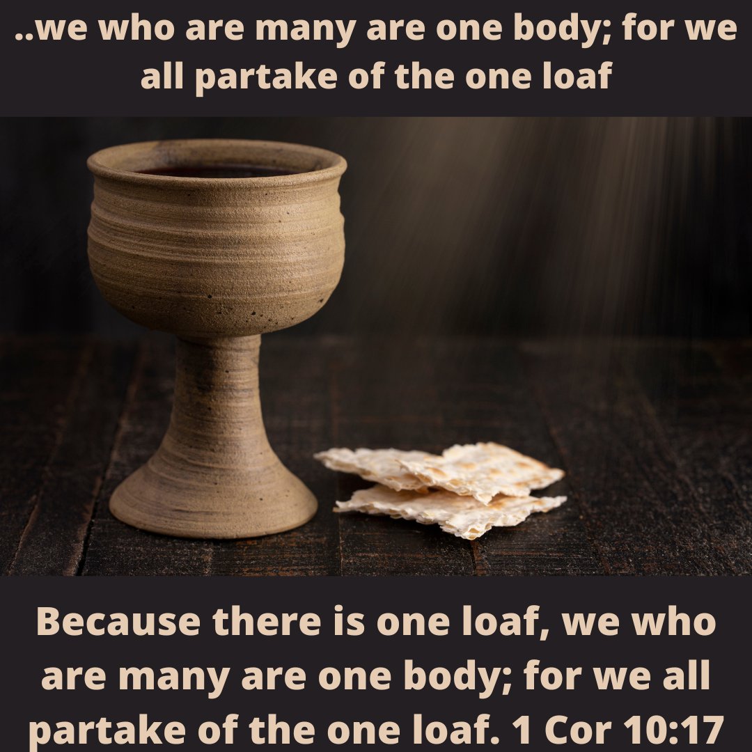 MeditateJw's tweet image. ..we who are many are one body; for we all partake of the one loaf

Because there is one loaf, we who are many are one body; for we all partake of the one loaf. 1 Cor 10:17

#jw  #jworg #jwwitnesses #jehovahswitnesses #jehovah #jwfamily #jwbrasil #jwpioneer
#witnesses  #jwfamily