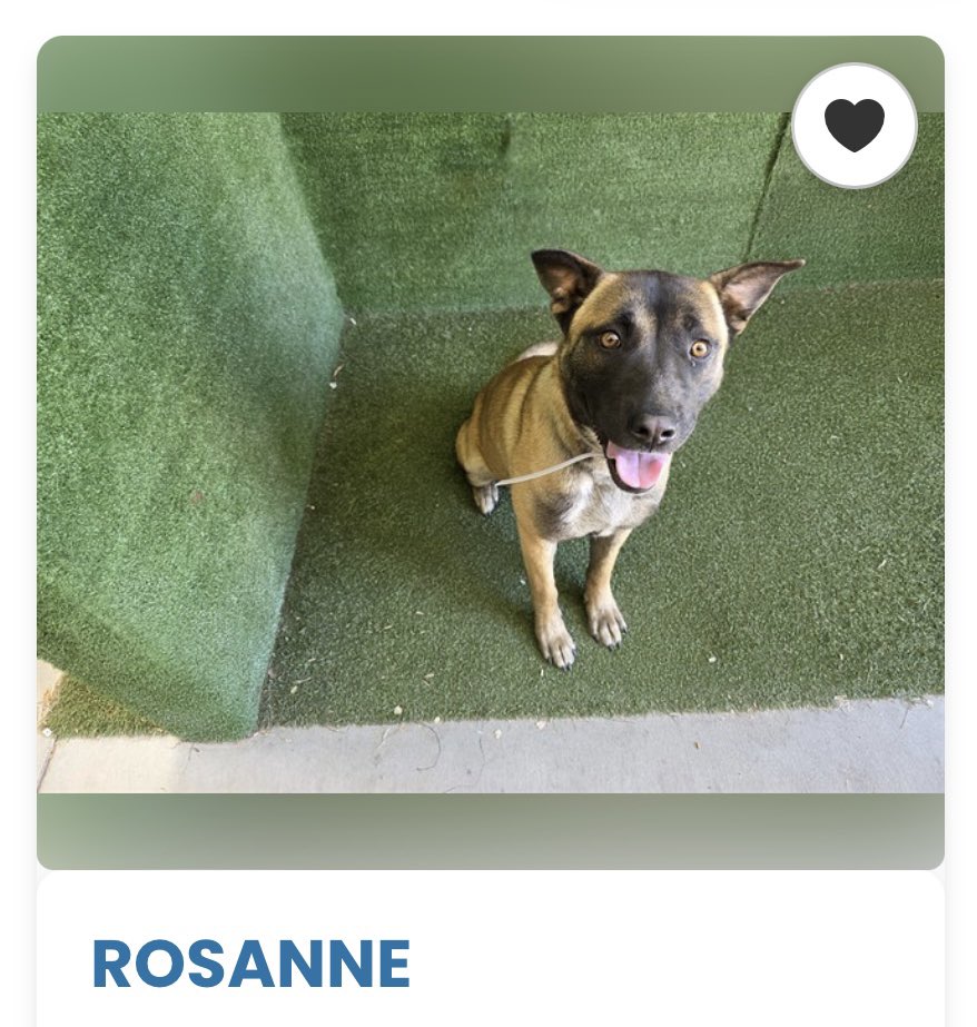 Labigator Mom tweet media