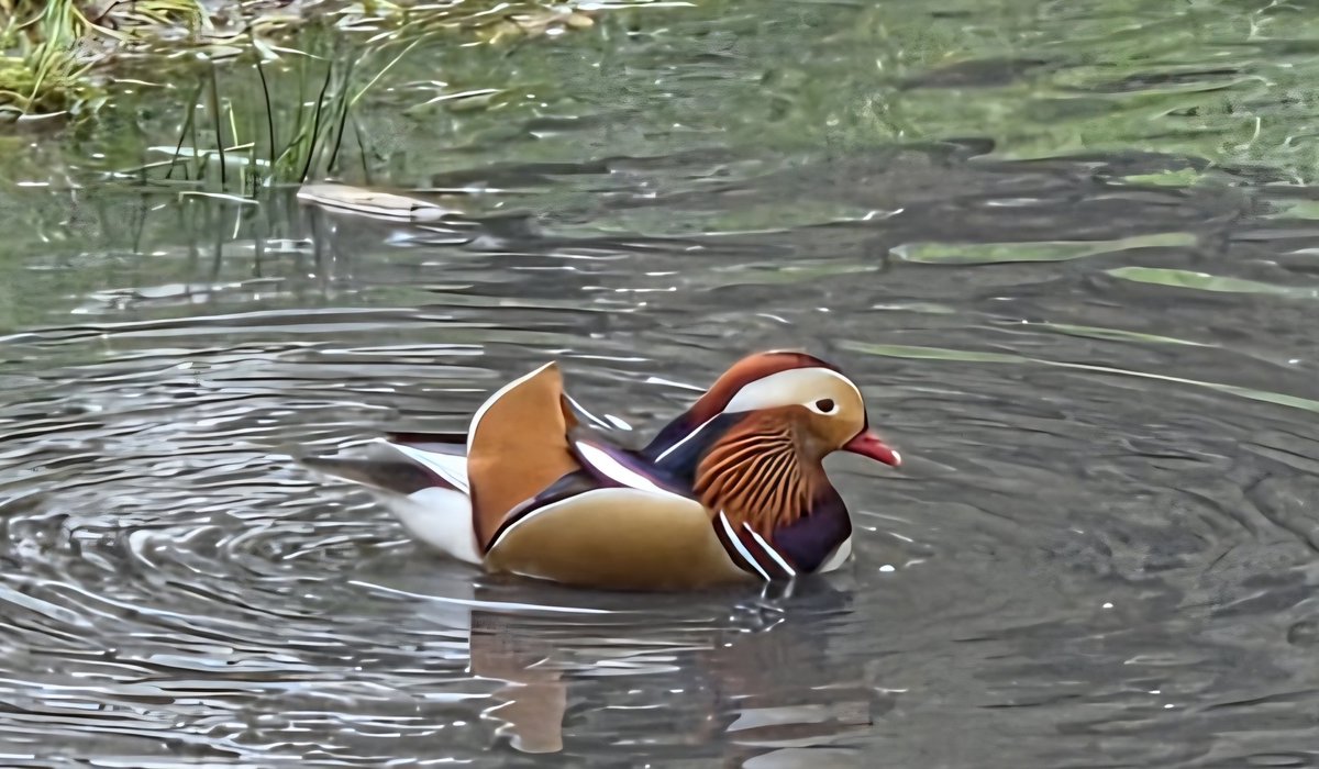 Martin Lewis tweet media