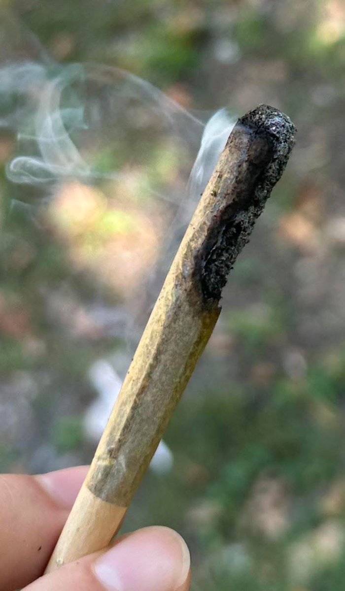 mary 🍁 tweet media