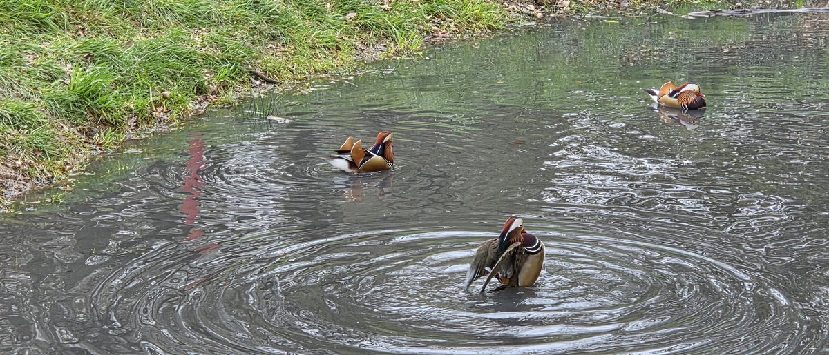 Martin Lewis tweet media