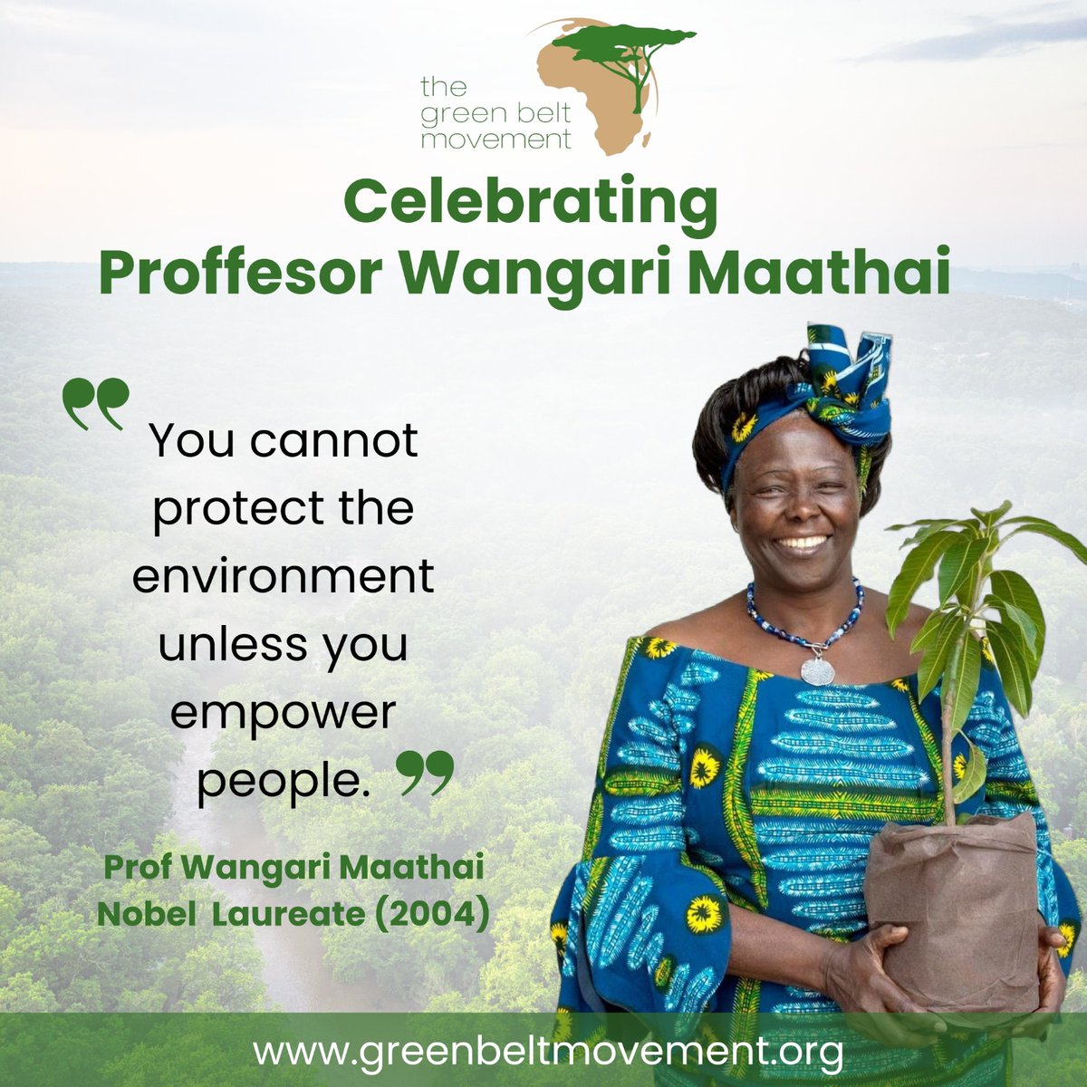 Green Belt Movement tweet media