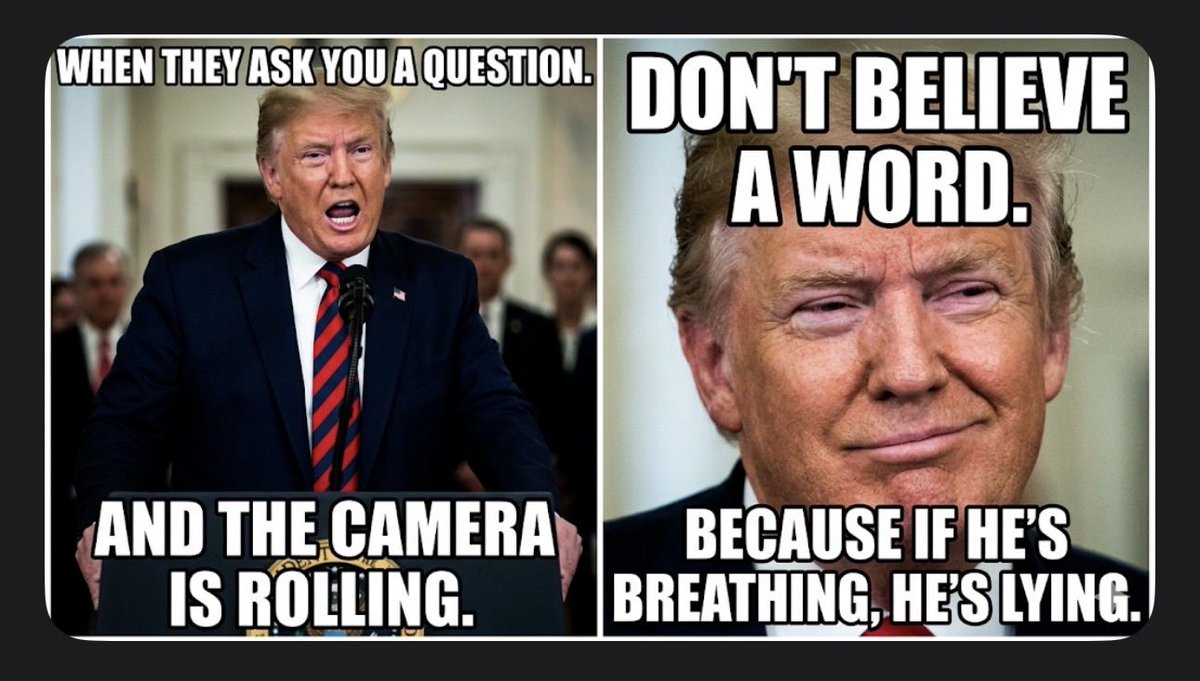 Sean Mcneil tweet media