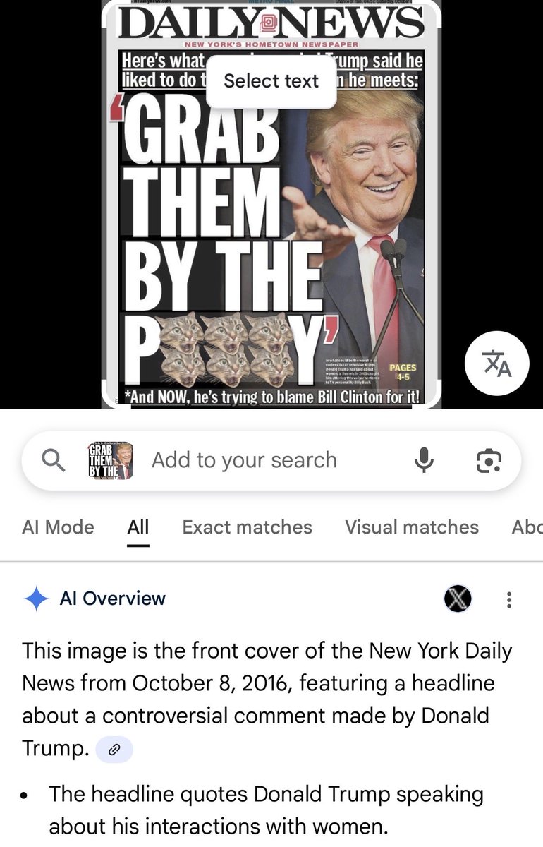 Anonymousth tweet media