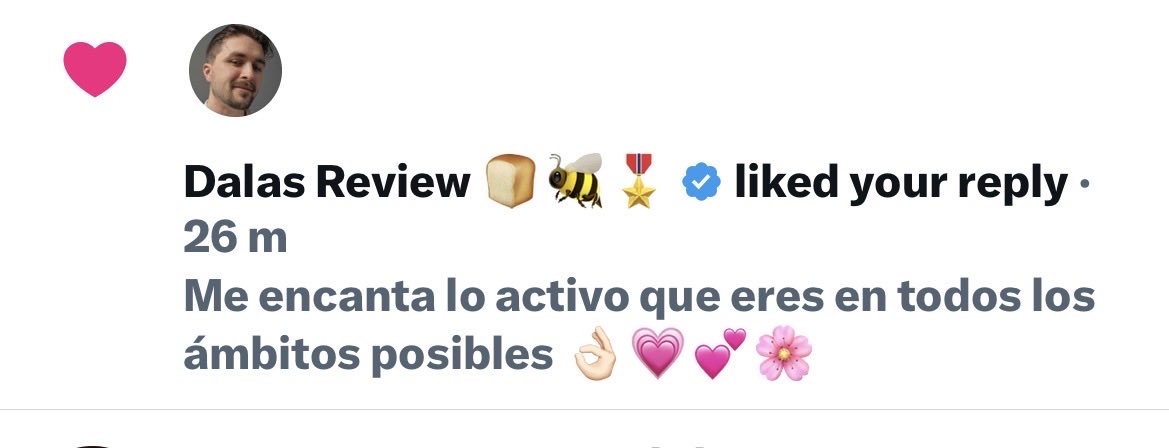 Dani4 Review tweet media