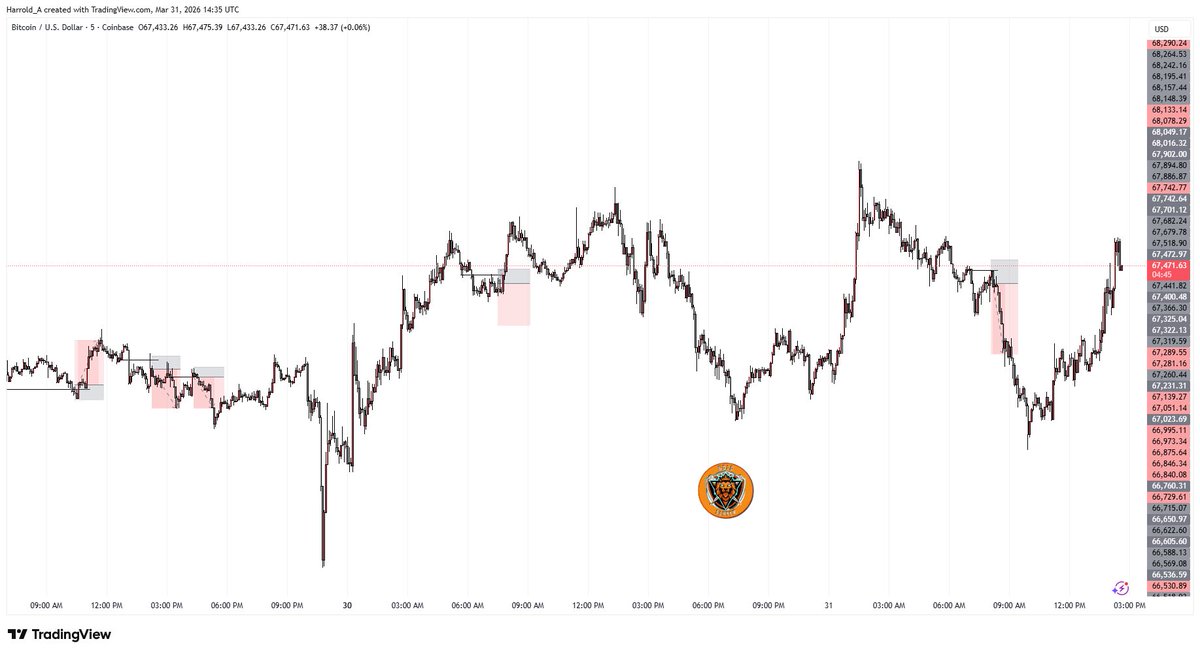 The Gold Slayer tweet media