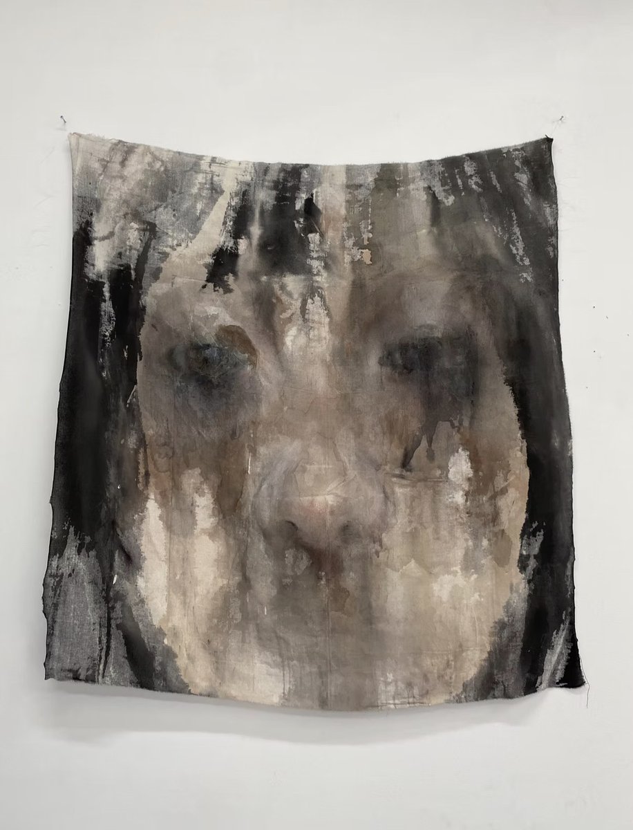 石黒 光 tweet media