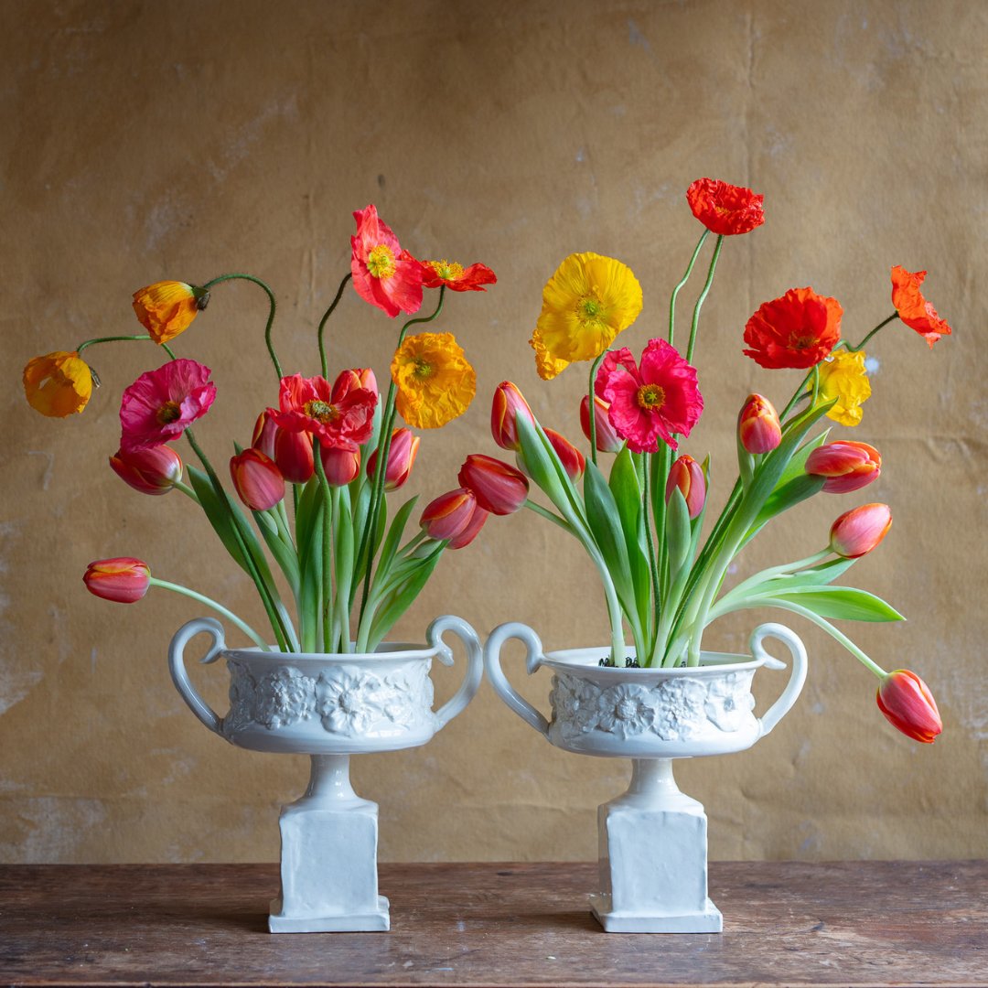 MO Botanical Garden tweet media