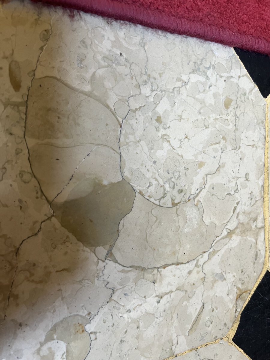 Dr. O. Serkan ANGI tweet media